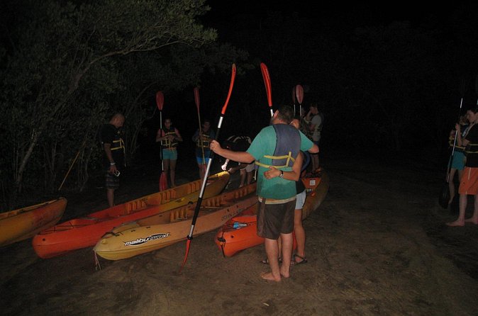 Bioluminescent Bay Kayak Trip from Vieques - Who Should Book This Vieques Night Paddle?