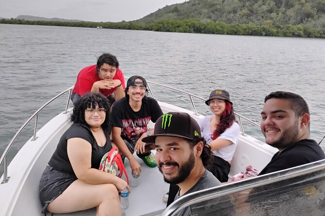Bioluminescent Bay Night Boat Charter in La Parguera with Captain - Quick take: what matters most