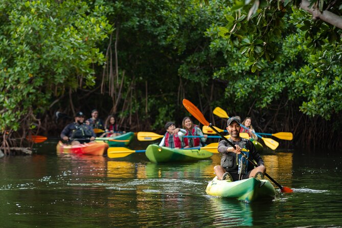 Bioluminescent Bay Night Kayaking Adventure in Puerto Rico - How much value do you get for $80?