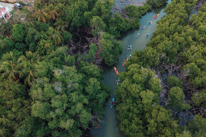 Bioluminescent Bay Night Kayaking Adventure in Puerto Rico - Smart ways to prepare for the night