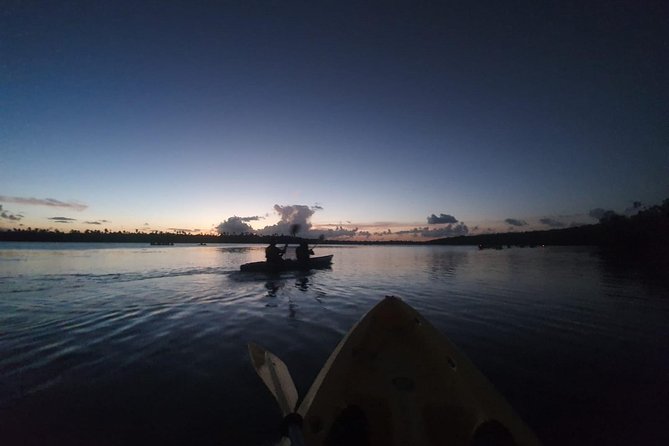 Bioluminescent Bay Night Kayaking, Fajardo - How the bioluminescent water looks in real life
