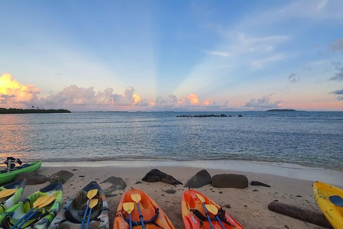 Bioluminescent Bay Night Kayaking, Fajardo - Guides who make the night easier
