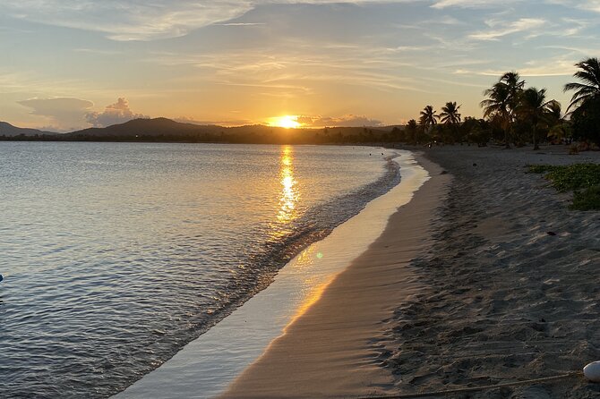 Bioluminescent Boat Tour in Mosquito Bay, Vieques - From Sunbay Beach to the electric catamaran
