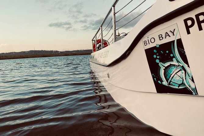 Bioluminescent Boat Tour in Mosquito Bay, Vieques - The guide can make or break the evening
