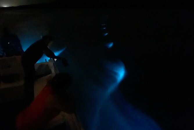 Bioluminescent Boat Tour in Mosquito Bay, Vieques - Stars, mangroves, and the darker side of the bay