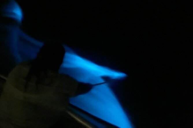 Bioluminescent Boat Tour in Mosquito Bay, Vieques - Boat tour versus kayak tour