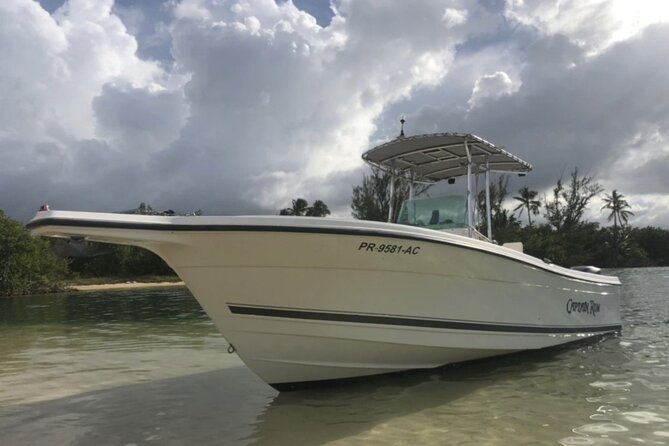 Boat trip in palomino /icacos /fajardo Puerto Rico - Key points at a glance