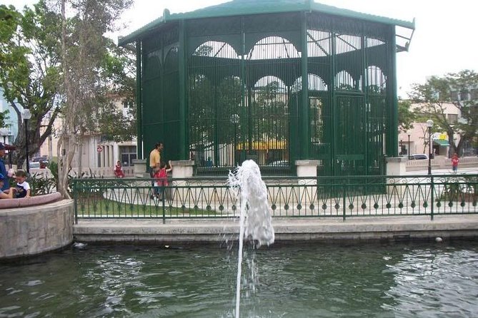 Caguas Cultural Day Trip from San Juan Including Botanical Garden and Lunch - Timing, transport, and the practical details