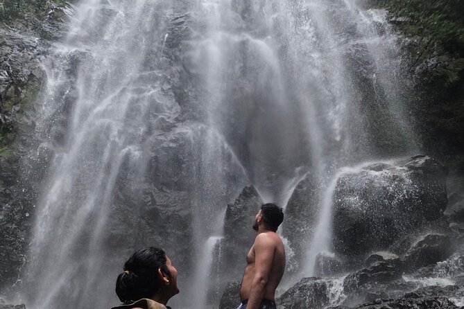 Chase Waterfalls - Discover a hidden 180ft rainforest gem - Key details before you book