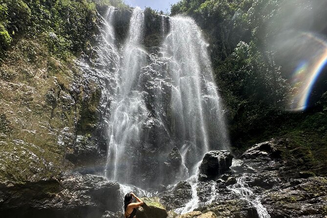 Chase Waterfalls - Discover a hidden 180ft rainforest gem - The 60-meter waterfall and fresh fruit stop