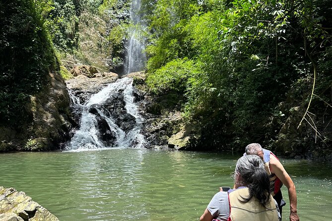 Chase Waterfalls - Discover a hidden 180ft rainforest gem - What $55 includes, and what it does not