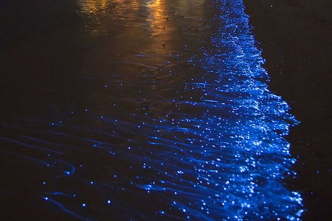 CLEAR BOTTOM KAYAKS Tour in Bioluminescent, Mosquito Bay - Key points to know before you book