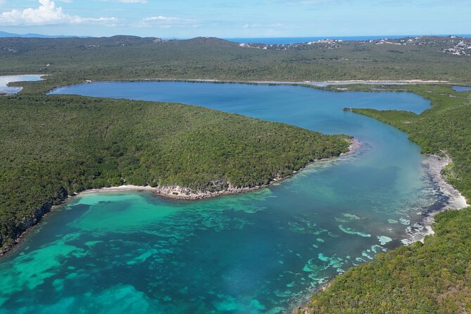 CLEAR BOTTOM KAYAKS Tour in Bioluminescent, Mosquito Bay - The early departure and the ferry problem