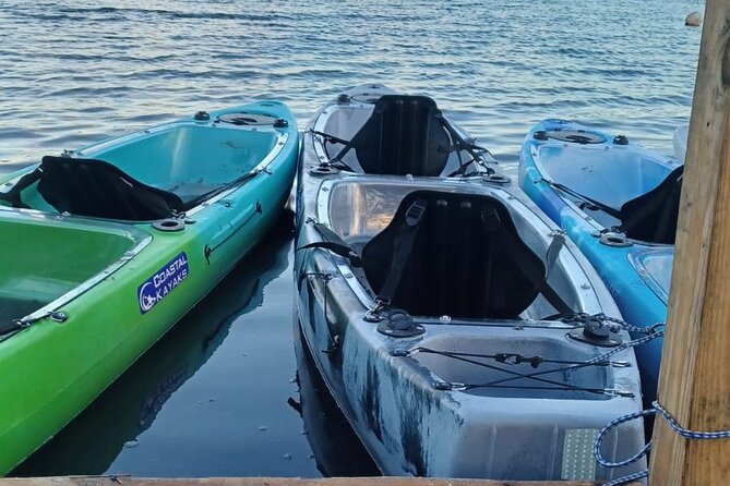CLEAR BOTTOM KAYAKS Tour in Bioluminescent, Mosquito Bay - Booking details worth checking first