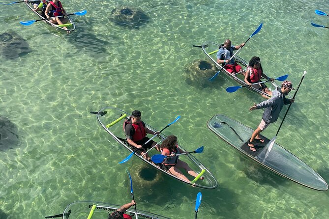 Clear Kayak Tour in Condado Lagoon - Key points to know before you book