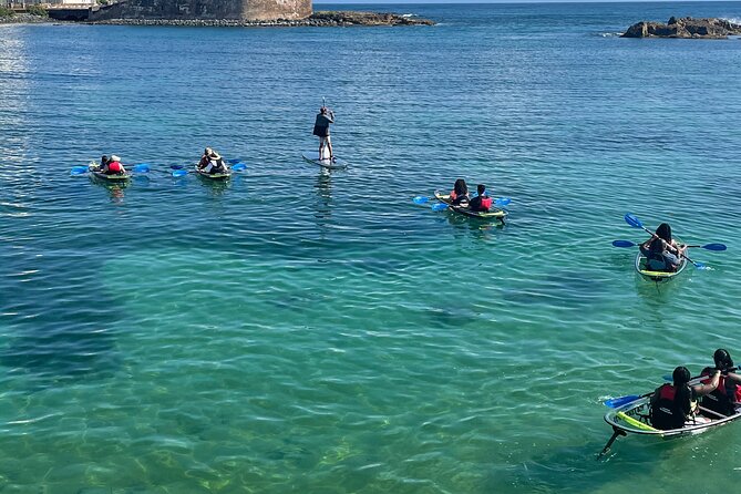 Clear Kayak Tour in Condado Lagoon - Paddling around Laguna del Condado