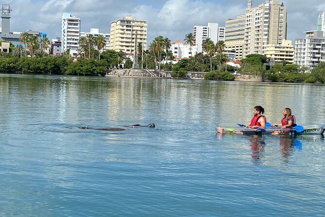 Clear Kayak Tour in Condado Lagoon - Guides who shape the experience
