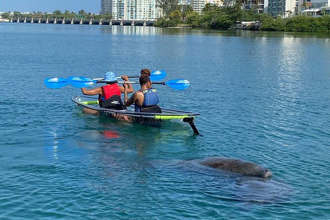 Clear Kayak Tour in Condado Lagoon - Free photos and the small extras