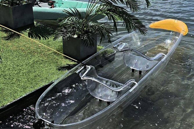Clear LED Kayaking in Condado Lagoon - What you actually see below the kayak