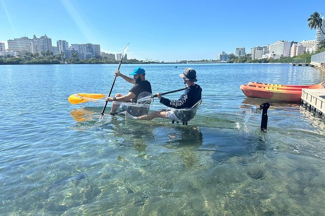 Clear LED Kayaking in Condado Lagoon - How much value do you get for $65?