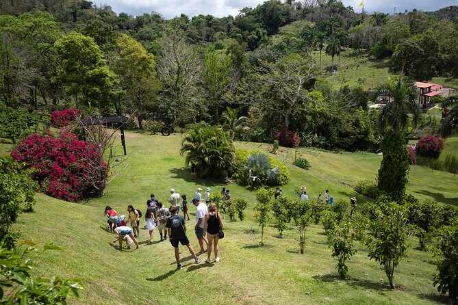 Coffee Plantation and River with Waterfalls in Puerto Rico - The plantation mini-tour requires a separate decision