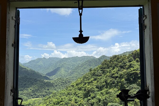 Coffee & Waterfalls Tour: from the mountains to the cup - Toro Negro State Forest and Río La Planta