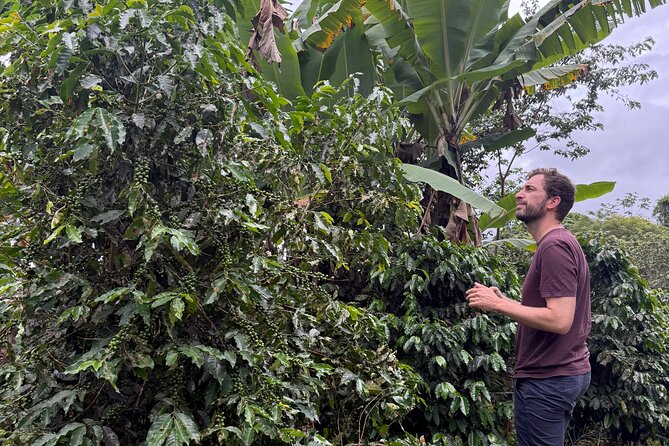 Coffee & Waterfalls Tour: from the mountains to the cup - Laura’s role makes the day more flexible