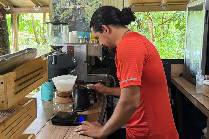 Coffee & Waterfalls Tour: from the mountains to the cup - What the seven-hour schedule really feels like