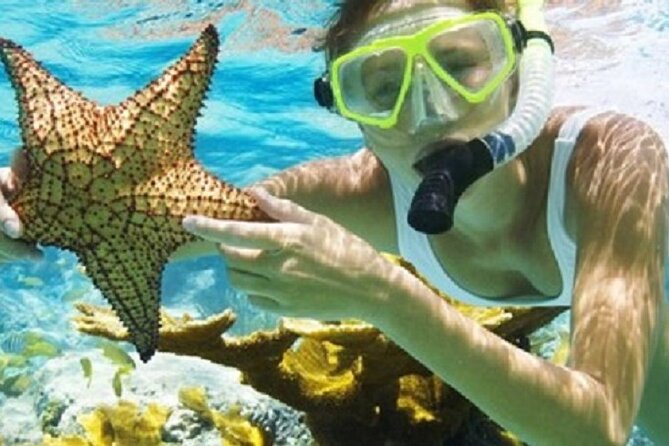 Combo El Yunque Rainforest and San Juan Snorkeling with Transport - Safety matters on the wet, rocky route
