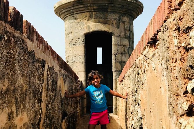 Concrete Jungle to the Actual Jungle, The Complete Package Tour - Why this private Puerto Rico tour works so well
