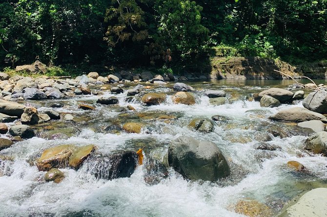 Concrete Jungle to the Actual Jungle, The Complete Package Tour - The former cave site and Puerto Rico’s cultural story