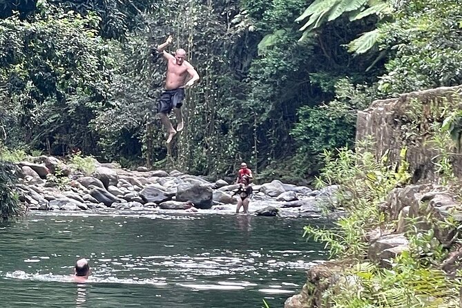 Concrete Jungle to the Actual Jungle, The Complete Package Tour - A gentle introduction to El Yunque