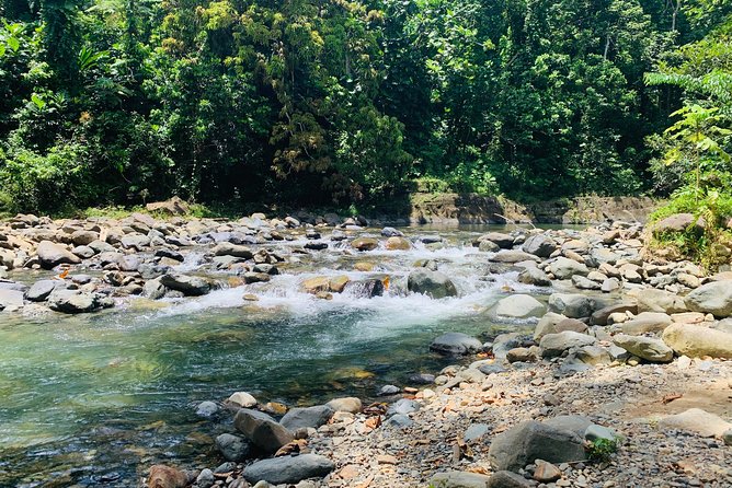 Concrete Jungle to the Actual Jungle, The Complete Package Tour - Following the coast toward quieter stops