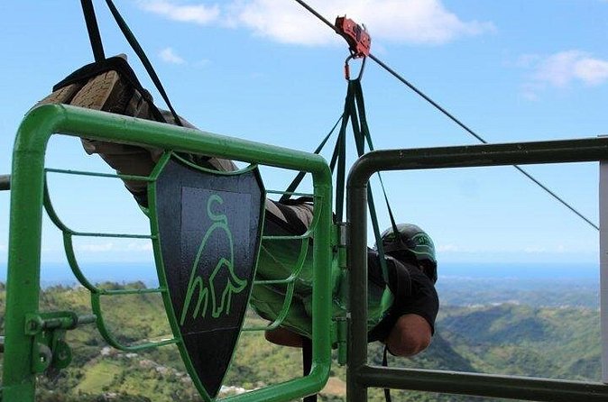 Conquer the Skies: Monster Zipline at Toro Verde Adventure Park - What the $120.56 price really buys