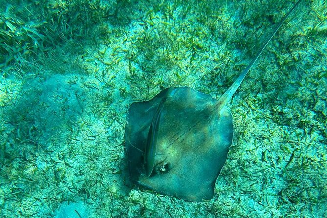 Coral Reef and Sea Turtle Snorkeling Experience - A guide who takes comfort seriously