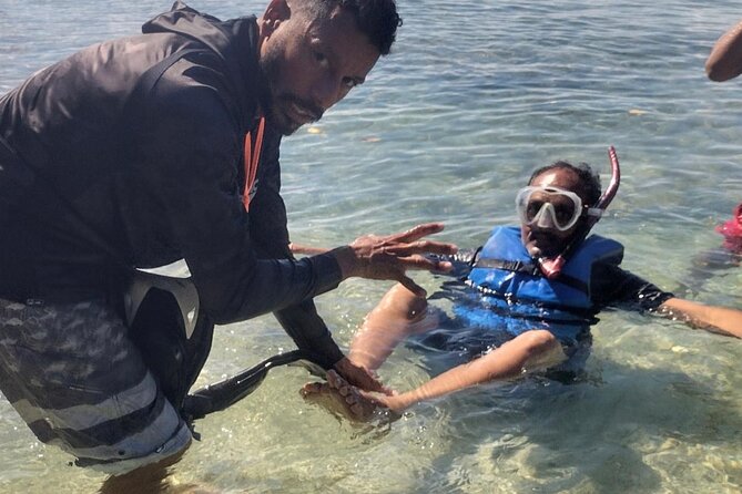 Coral Reef and Sea Turtle Snorkeling Experience - Should you book the Coral Reef and Sea Turtle Snorkeling Experience?