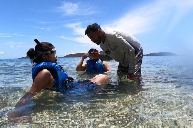 Coral Reef and Sea Turtle Snorkeling Experience - A private group changes the feel of the outing