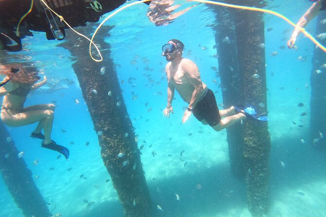 Coral Reef Snorkel Adventure with Photos and Videos - Starting at Black Eagle Road in Rincón