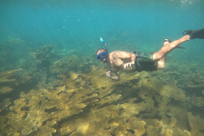 Coral Reef Snorkel Adventure with Photos and Videos - Tres Palmas Marine Reserve and the reef route