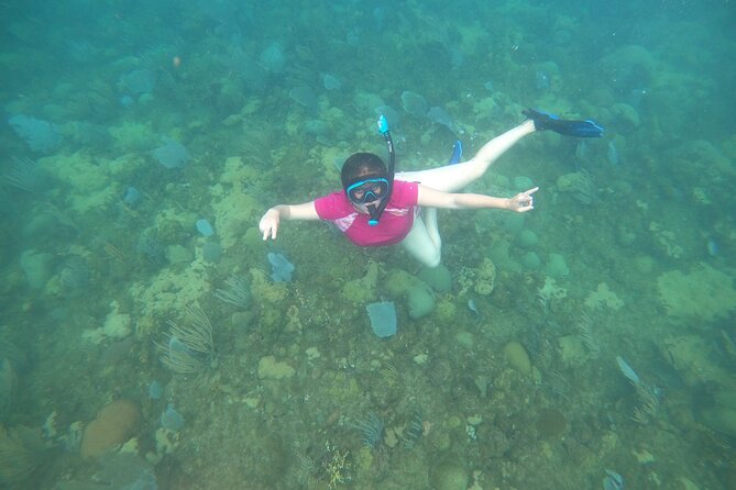 Coral Reef Snorkel Adventure with Photos and Videos - Underwater photos and videos: useful, but not guaranteed keepsakes