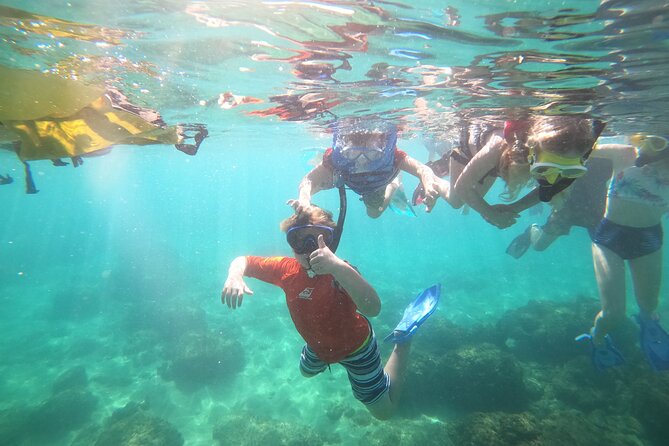 Coral Reef Snorkel Adventure with Photos and Videos - What the $50 price really includes
