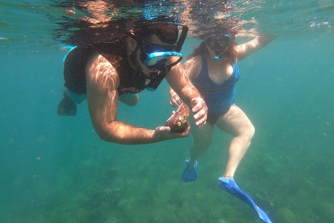 Coral Reef Snorkel Adventure with Photos and Videos - Five to ten minutes of beach instruction