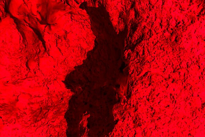 Cueva Ventana and Waterfall Adventure - Guide quality makes a real difference