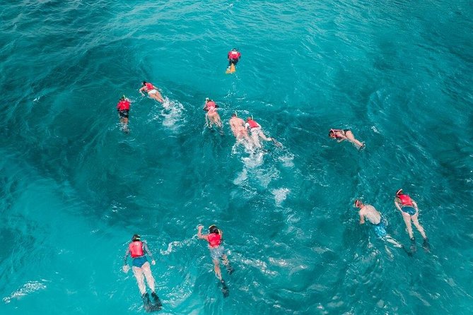 Culebra Snorkel and Turtle Adventure with Transport - Who will get the most from this day