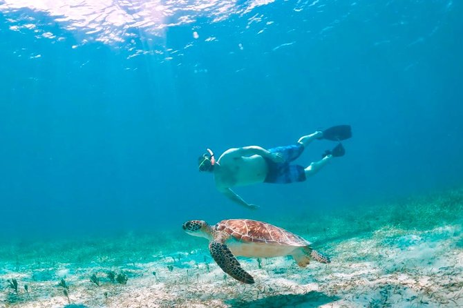 Culebra Snorkel and Turtle Adventure with Transport - Arriving in Dewey and seeing Culebra by minibus