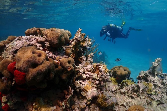 Culebra Snorkeling and beach Day Experience by boat - The first reef stop, about 80 minutes in the water