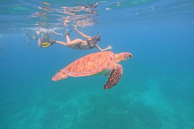 Culebra Swim with Turtles Adventure and Flamenco Beach by Ferry - A full day from Ceiba to Culebra