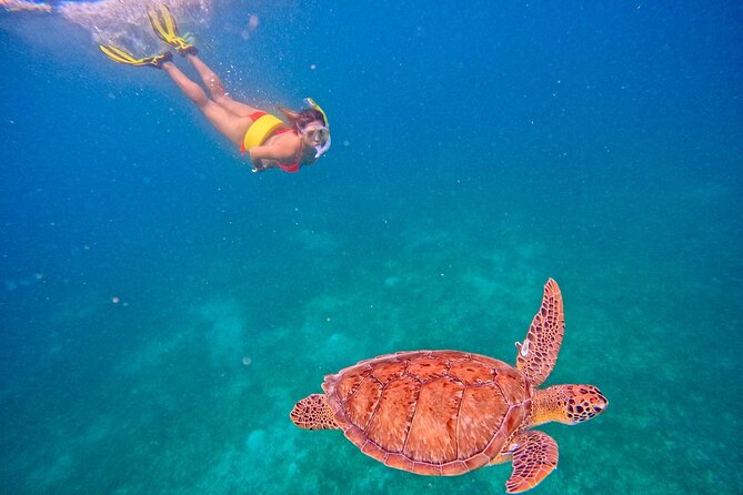Culebra Swim with Turtles Adventure and Flamenco Beach by Ferry - What to pack for this Culebra day