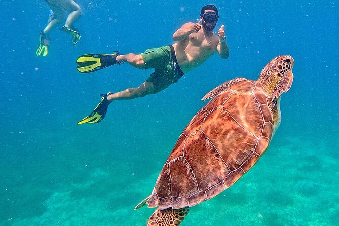 Culebra Swim with Turtles Adventure and Flamenco Beach by Ferry - Tamarindo Beach and the turtle swim