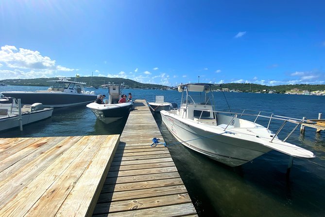 Culebrita Boat Day Trip / For Guest already in Culebra Island - Who will enjoy this Culebrita trip most?